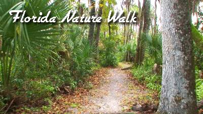 The Maine Nature Walk The Florida Nature Walk The Four Seasons Hawaii ...